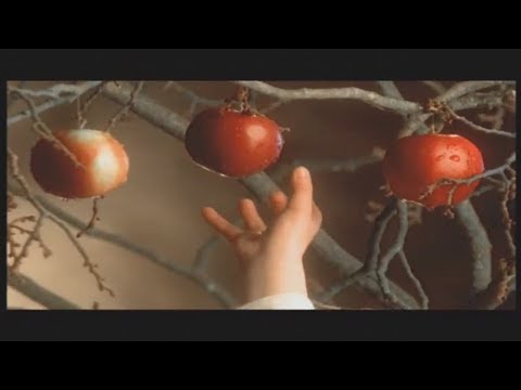 An Ubhal As Airde (The Highest Apple) Video