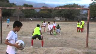 Jugando A Cobrar Penales I