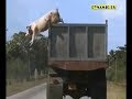 DYNAMIC DS: Incroyable mais vrai!!!