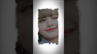Lisa Habibi Edit Zehra