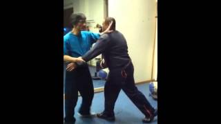 Sifu Lan Tran: Hsing-I application