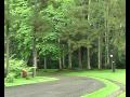 CIFOR