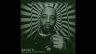 Watch Sadat X Eternally Yours video