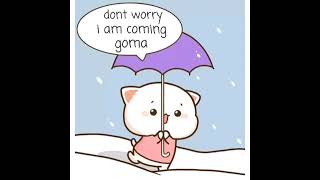 Mochi Peach Cat Saved Goma From Snow - Peach And Goma Cute Love