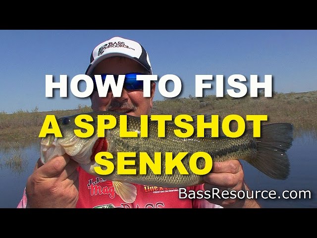 Watch How To Fish A Split Shot Senko | Bass Fishing on YouTube.