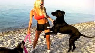 Blonde Girl and Big Dogs on the Beach!