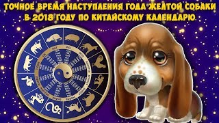 Когда в 2018 году начнется год петуха по китайскому календарю Когда в 2018 году начнется год петуха по китайскому календарю