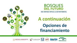 Opciones de Financiamiento para tu Empresa