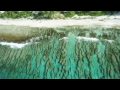 Ultimate Wave Tahiti Deutsch German Hd images Ultimate Wave Tahiti Deutsch German Hd