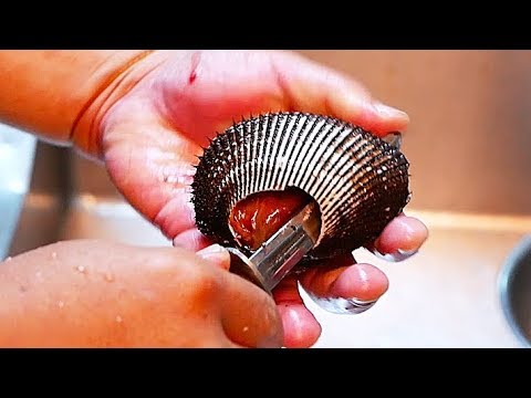 Japan Street Food - RED CLAM Sushi Sashimi Japanese Seafood Japan Street Food - RED CLAM Sushi Sashimi Japanese Seafood