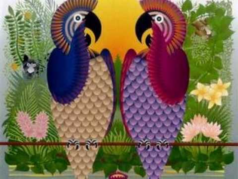 The Secret Language Of Birds Video