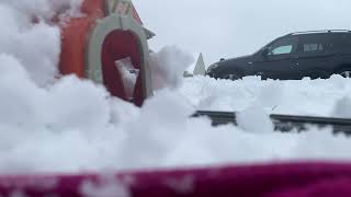 Thomas, Terence, And The Snow Crash Remake