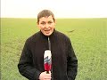 В Ростовской области сев озимых
