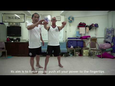 Master Hang Ng Chow Gar Tong Long Kung Fu Masters Master Hang Ng Chow Gar Tong Long Kung Fu Masters