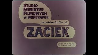 Протёк (Zaciek) 1980 М/Ф Польша