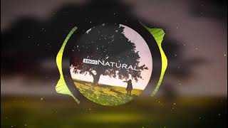 XINGO - Natural (Original mix) / fantastic mix of natural sounds, chill and electronic music