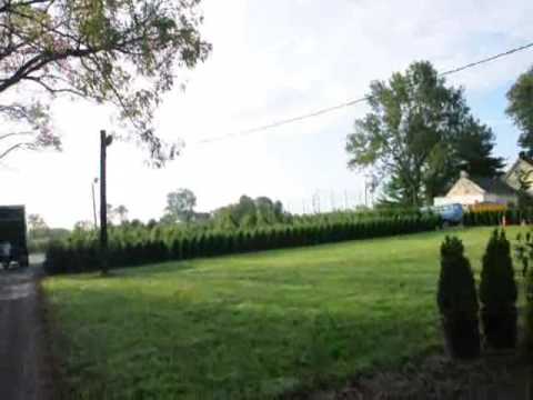 Demo of sheering of an emerald green arborvitae. Demo of sheering of an emerald green arborvitae. 4:03. Highland Hill Farm Please visit our website at