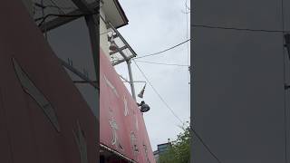 Yokosukas Ramen Experience