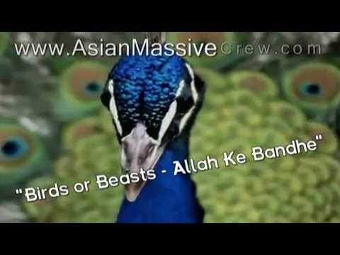 ★ ♥ ★ Allah Ke Bande - lyrics + Translation (2003) ★...