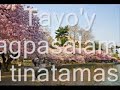 Kalikasan Ating Alagaan images Kalikasan Ating Alagaan