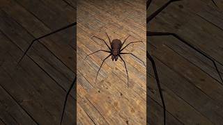 Granny Game Stop Spider Tips And Tricks