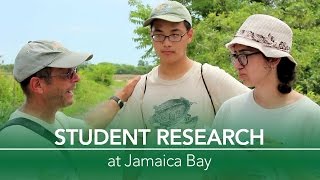 Student Research at Jamaica Bay