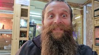 @החיות של שלמה