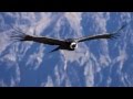El Condor Pasa - Daniel Alomía Robles (version 2012)