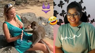 Monkey Pulls Girls Shirt Down - Funny Monkeys Doing Stupid Things - Funniest Animals Reaction