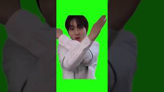 Green Screen No Way