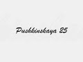 Видео Pushkinskaya 24