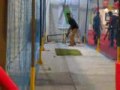 Hako cricket bowling machines