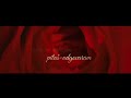 Netacan Odgovor Video preview