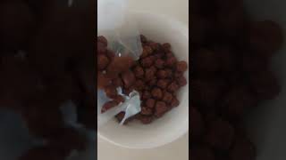 Asmr Satisfying Coco Pop Tune