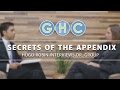 Functions of the Appendix: Dr. Edward Group & Hugo Robin Interview Functions of the Appendix: Dr. Edward Group & Hugo Robin Interview