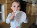 Bella in the cabinets