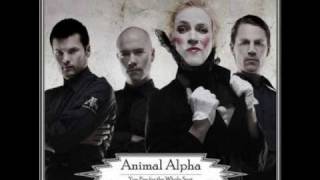 Watch Animal Alpha In The Barn video