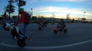 Wheelie.pete Takes Us To Sccity
