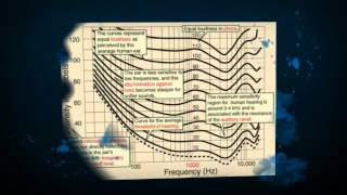 Learn Human Echolocation - Learn To See Like Daredevil