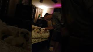 Mad Doesnt Want Bedtime.