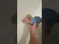 Chameleon First Bath Chameleon First Bath