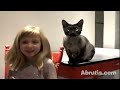 chat