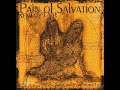 Pain of Salvation - Beyond the Pale