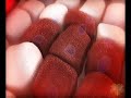 antioxidants