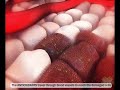 antioxidants