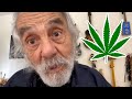 Old Weed vs New Weed with Tommy Chong | Wild Ride! Clips