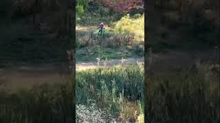 Mini Pista