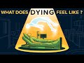 What Does DYING Feel Like?
