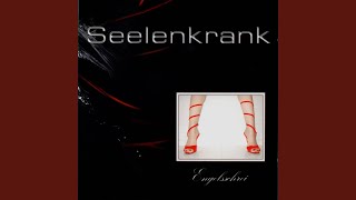 Watch Seelenkrank The Perfect Lie video
