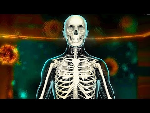 Скачать игру Bio Inc - Biomedical Plague на Android Скачать игру Bio Inc - Biomedical Plague на Android